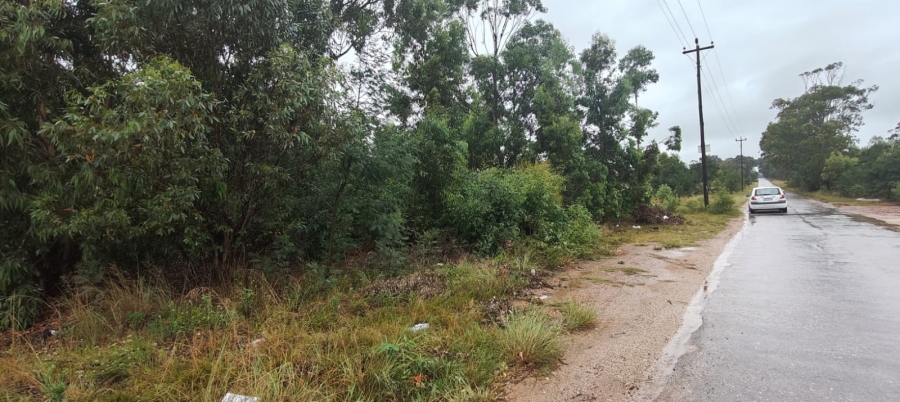 0 Bedroom Property for Sale in Greenbushes Eastern Cape